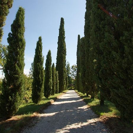 ויצ'נצה Villa Ghislanzoni מראה חיצוני תמונה